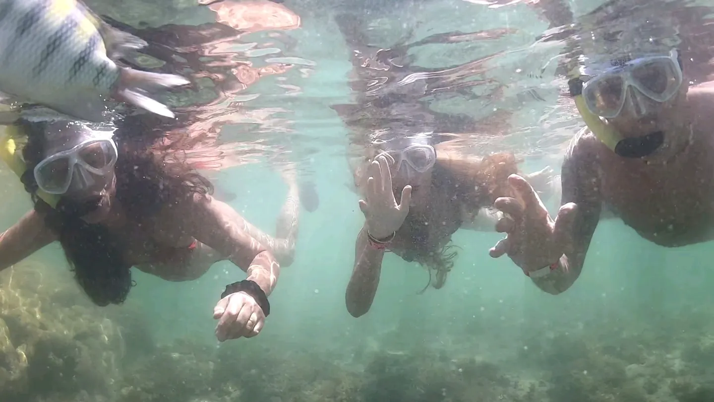 Mergulho com máscara e peixes em Recife de Fora